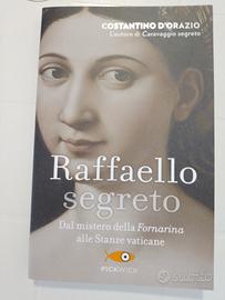 libro Raffaello Segreto