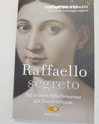 libro Raffaello Segreto