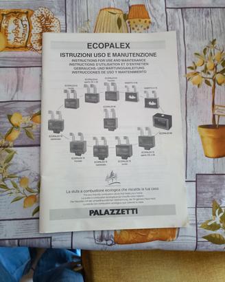 inserto fuoco palazzetti