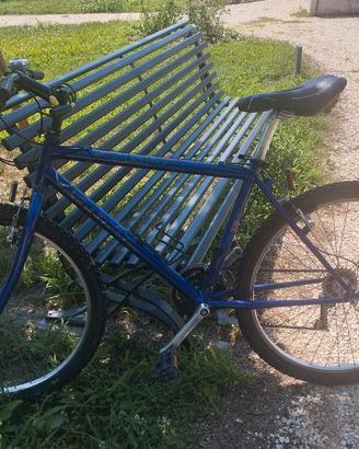 Bicicletta MTB 26 uomo