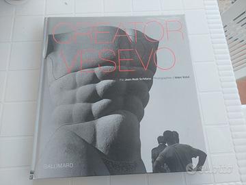 Catalogo Mostra Creator  Vesevo - J. N. Schifano