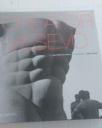 Catalogo Mostra Creator  Vesevo - J. N. Schifano