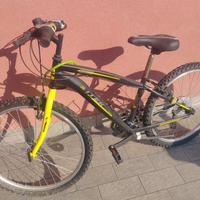 Bicicletta ragazzino