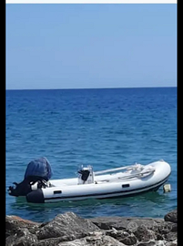 Gommone 25 cv 4 tempi 2019