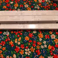 alimentatore elettronico