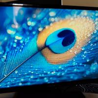 Monitor Toshiba 24E1533DG