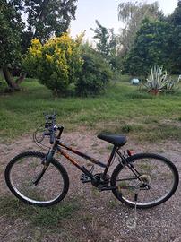 bicicletta unisex svendita!