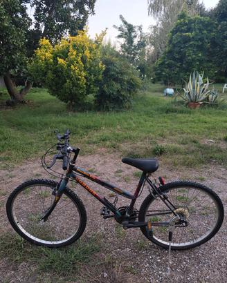 bicicletta unisex svendita!
