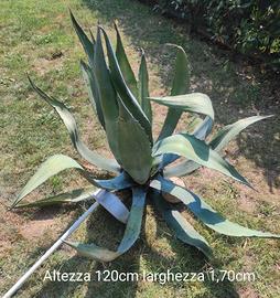 Agave gigante