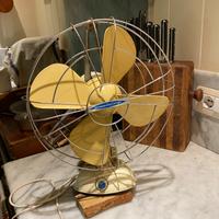 Ventilatore della nonna