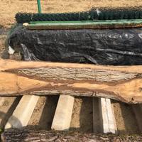 Tronco di noce nazionale