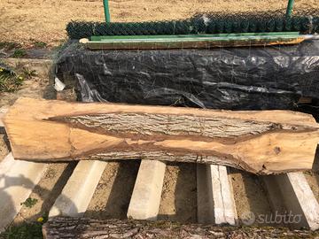 Tronco di noce nazionale