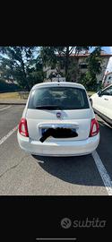 Fiat 500  BIANCA gpl