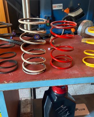 molle di contrasto piaggio zip