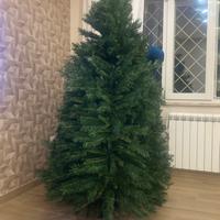 Albero abete Natale