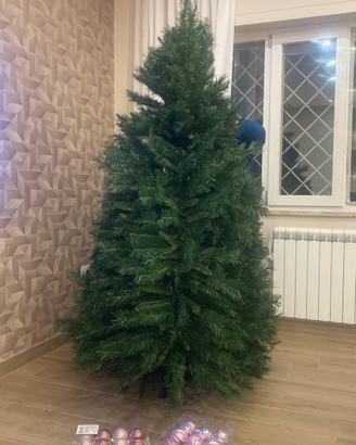 Albero abete Natale