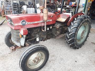 Trattore gommato Massey Ferguson MF 135 SPECIAL