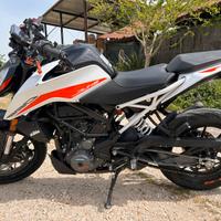 Duke390 / 07/2022 / km 8689