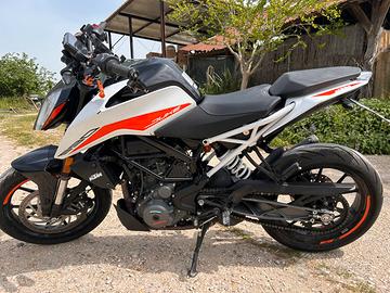 Duke390 / 07/2022 / km 8689