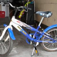 Mountain Bike Milesi