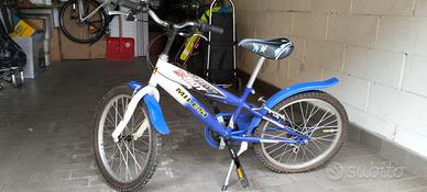 Mountain Bike Milesi