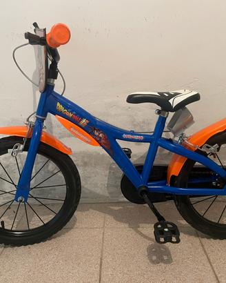 Bicicletta