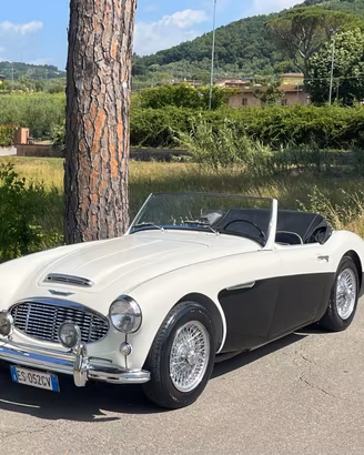 Austin Healey 100/6 BN4 2700 ASI