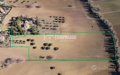 Terreno agricolo di 3 ha