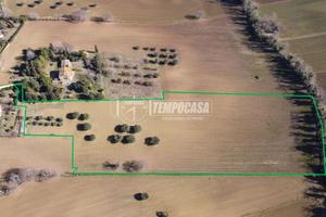 Terreno agricolo di 3 ha