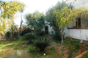 Villetta 160mq con dependance e 1000mq terreno
