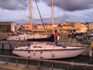 Cabinato a Vela Cider Sangiovese 8m / 24ft (1981)