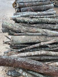 Legna da ardere fresca tagliata e spaccata