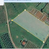 Terreno Collinare Capannoli Confinante abitazioni