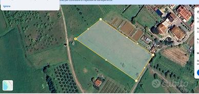 Terreno Collinare Capannoli Confinante abitazioni