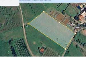 Terreno Collinare Capannoli Confinante abitazioni