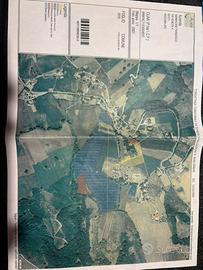 Terreno agricolo con impianto di ciliegio da legno