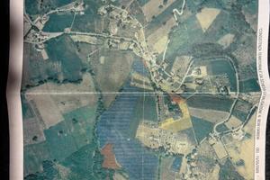 Terreno agricolo con impianto di ciliegio da legno