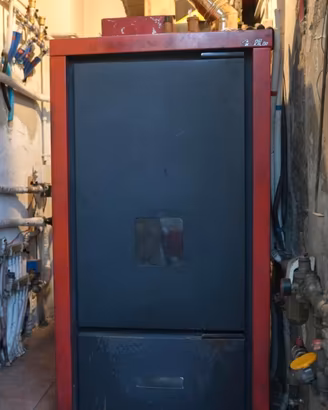 Caldaia a biomassa