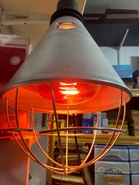 lampada infrarossi riscaldante per animali malati