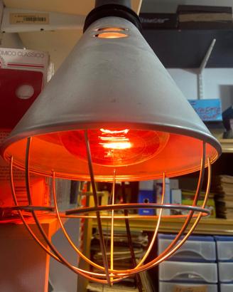 lampada infrarossi riscaldante per animali malati