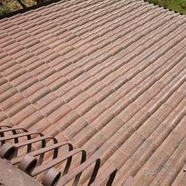 Tegole Wierer  coppo di Francia rosso striato