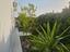 Immagine 26