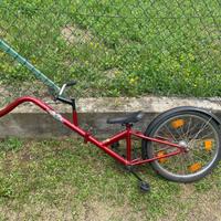 Cammellino per bimbi