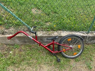 Cammellino per bimbi