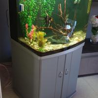 Acquario 250l