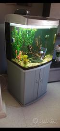 Acquario 250l