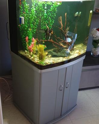 Acquario 250l