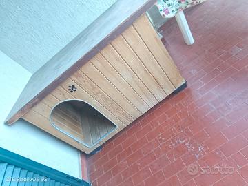 casa x il cane