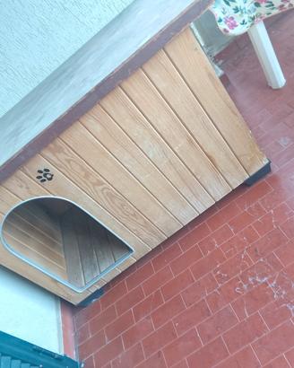 casa x il cane