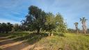 alghero-vicinanze-terreno-9-ha-con-progetto